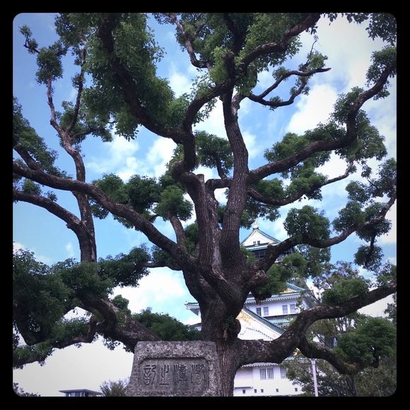 Meet your Posher, Christine - Picture 1 of 3